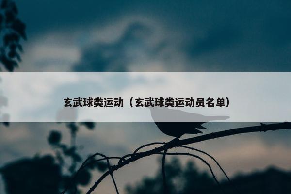 玄武球类运动（玄武球类运动员名单）
