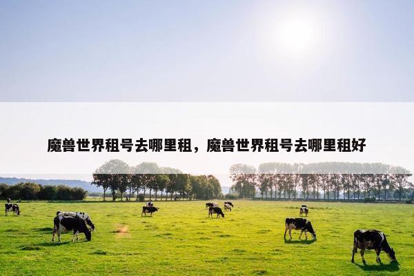 魔兽世界租号去哪里租，魔兽世界租号去哪里租好