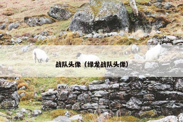 战队头像（绿龙战队头像）