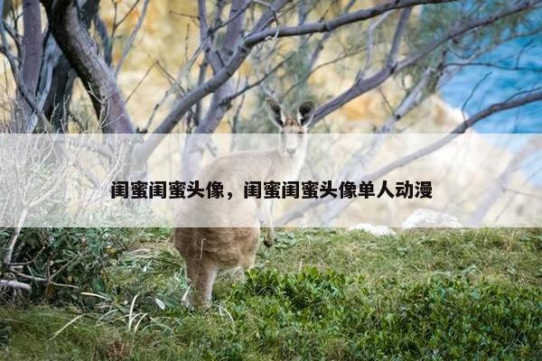 闺蜜闺蜜头像，闺蜜闺蜜头像单人动漫