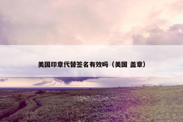 美国印章代替签名有效吗（美国 盖章）