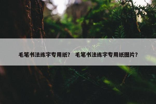 毛笔书法练字专用纸？ 毛笔书法练字专用纸图片？