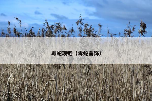 毒蛇项链（毒蛇首饰）