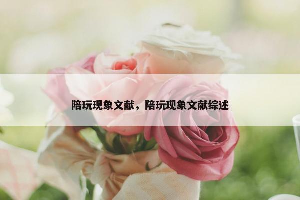陪玩现象文献，陪玩现象文献综述