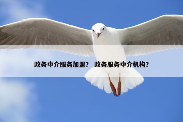 政务中介服务加盟？ 政务服务中介机构？