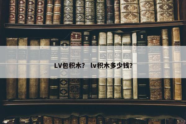 LV包积木？ lv积木多少钱？