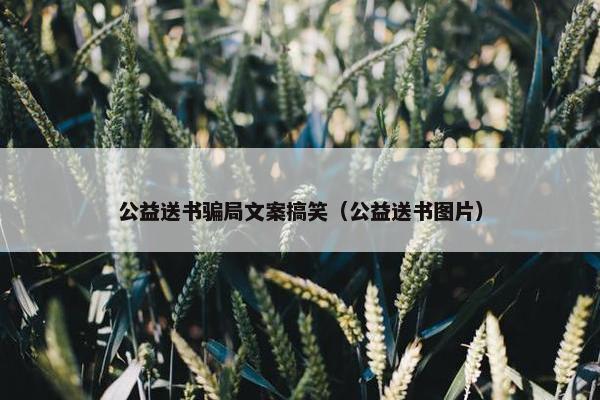 公益送书骗局文案搞笑（公益送书图片）