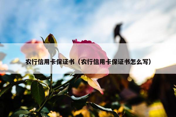 农行信用卡保证书（农行信用卡保证书怎么写）