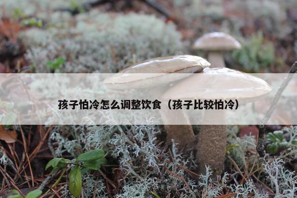 孩子怕冷怎么调整饮食（孩子比较怕冷）