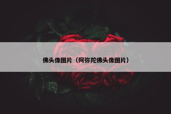 佛头像图片（阿弥陀佛头像图片）