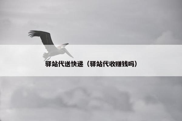 驿站代送快递（驿站代收赚钱吗）