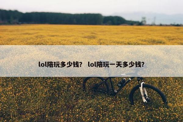 lol陪玩多少钱？ lol陪玩一天多少钱？