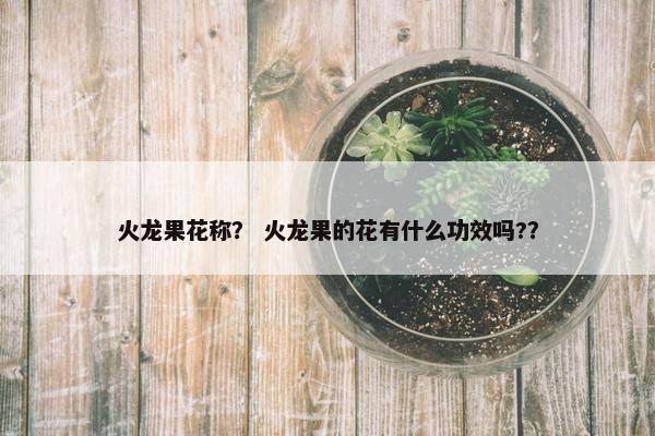 火龙果花称？ 火龙果的花有什么功效吗?？