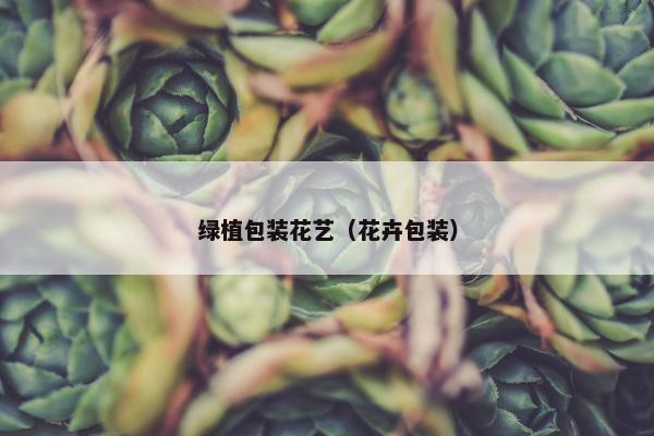 绿植包装花艺（花卉包装）