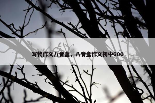 写物作文八音盒，八音盒作文初中600
