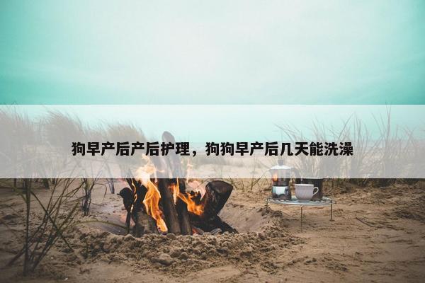 狗早产后产后护理，狗狗早产后几天能洗澡