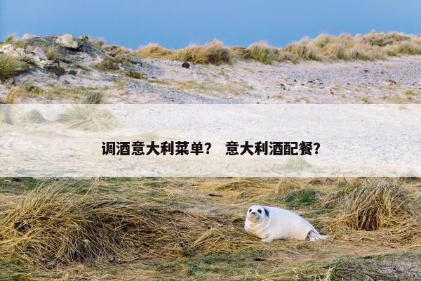 调酒意大利菜单？ 意大利酒配餐？
