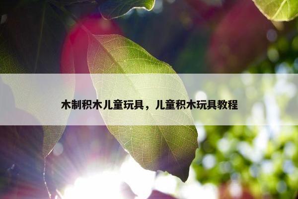 木制积木儿童玩具，儿童积木玩具教程