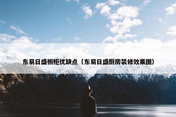 东易日盛橱柜优缺点（东易日盛厨房装修效果图）