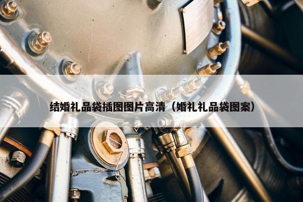 结婚礼品袋插图图片高清（婚礼礼品袋图案）