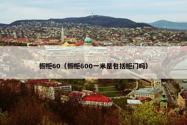 橱柜60（橱柜600一米是包括柜门吗）