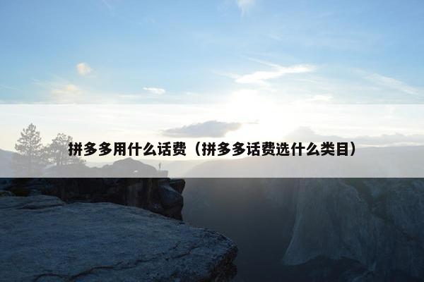 拼多多用什么话费（拼多多话费选什么类目）
