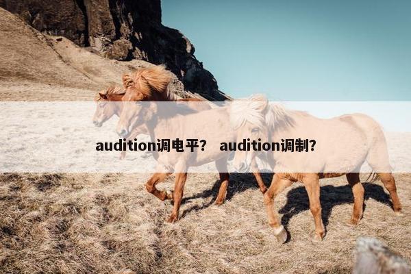 audition调电平？ audition调制？