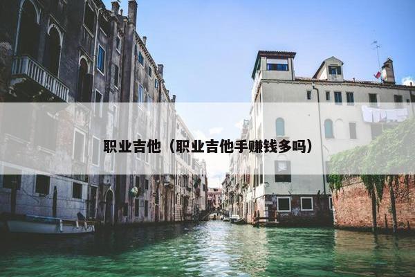 职业吉他（职业吉他手赚钱多吗）