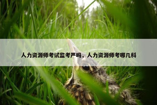 人力资源师考试监考严吗，人力资源师考哪几科