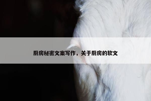 厨房秘密文案写作，关于厨房的软文