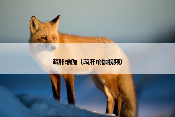 疏肝瑜伽（疏肝瑜伽视频）