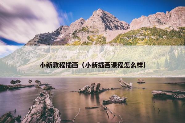 小新教程插画（小新插画课程怎么样）