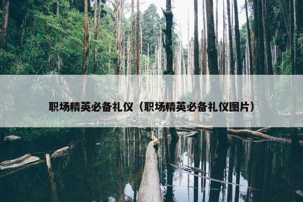 职场精英必备礼仪（职场精英必备礼仪图片）