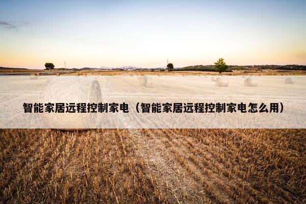 智能家居远程控制家电（智能家居远程控制家电怎么用）