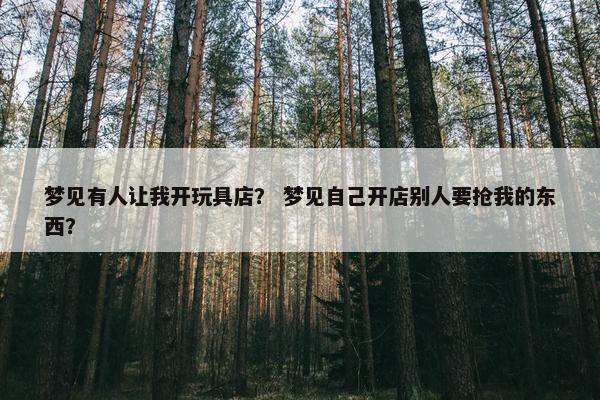 梦见有人让我开玩具店？ 梦见自己开店别人要抢我的东西？