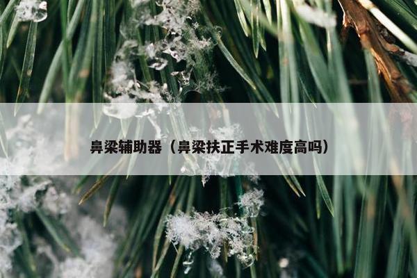 鼻梁辅助器（鼻梁扶正手术难度高吗）