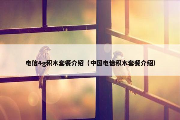 电信4g积木套餐介绍（中国电信积木套餐介绍）