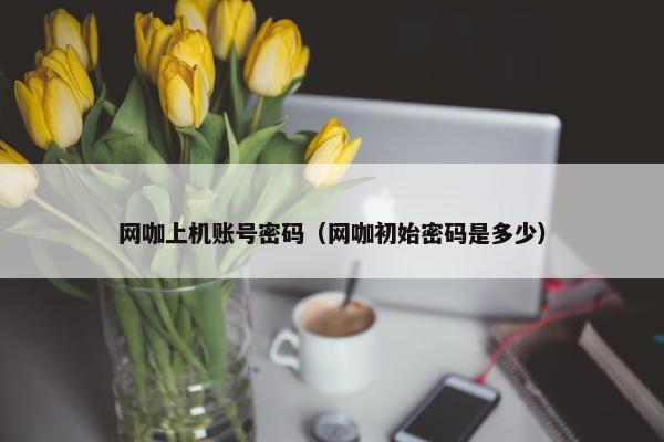 网咖上机账号密码（网咖初始密码是多少）