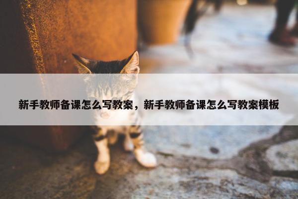 新手教师备课怎么写教案，新手教师备课怎么写教案模板