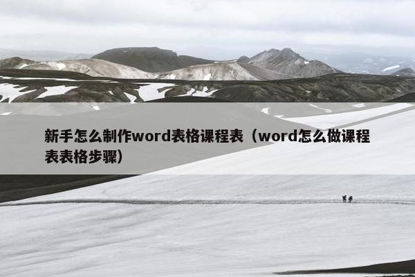 新手怎么制作word表格课程表（word怎么做课程表表格步骤）
