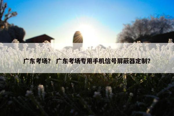 广东考场？ 广东考场专用手机信号屏蔽器定制？