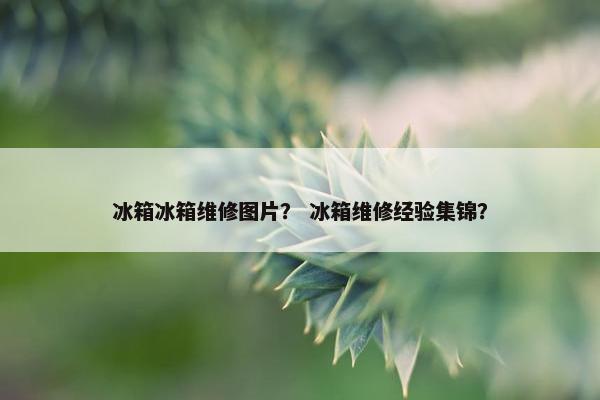 冰箱冰箱维修图片？ 冰箱维修经验集锦？