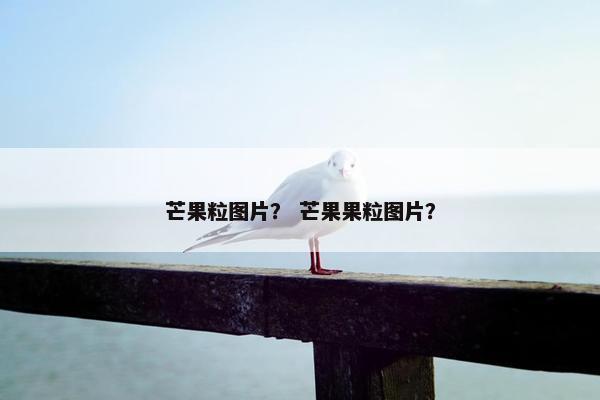 芒果粒图片？ 芒果果粒图片？