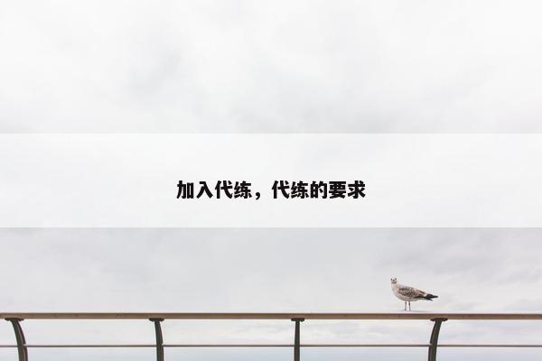 加入代练，代练的要求