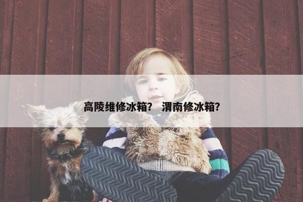 高陵维修冰箱？ 渭南修冰箱？