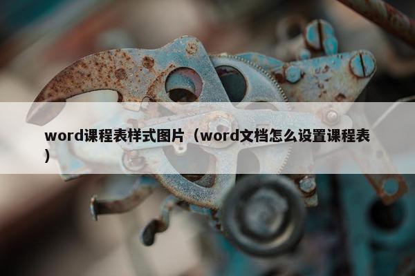 word课程表样式图片（word文档怎么设置课程表）