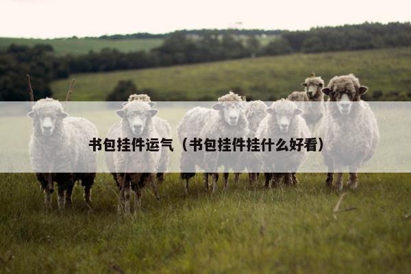 书包挂件运气（书包挂件挂什么好看）