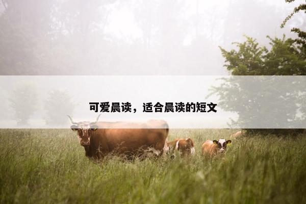 可爱晨读，适合晨读的短文