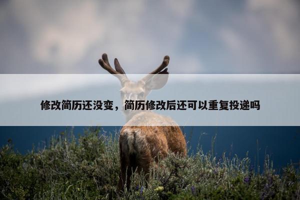 修改简历还没变，简历修改后还可以重复投递吗