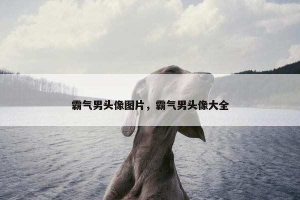 霸气男头像图片，霸气男头像大全